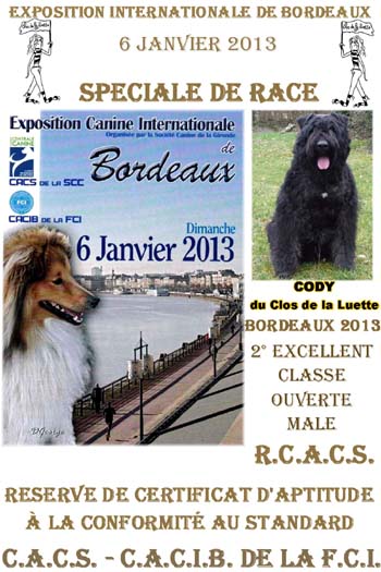 Bouvier des flandres  du CLOS DE LA LUETTE - COPYRIGHT DEPOSE